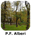 Alberi